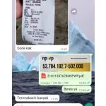 testimoni biro jasa buat npwp perorangan