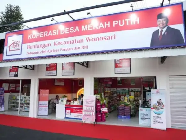 jasa buat npwp koperasi