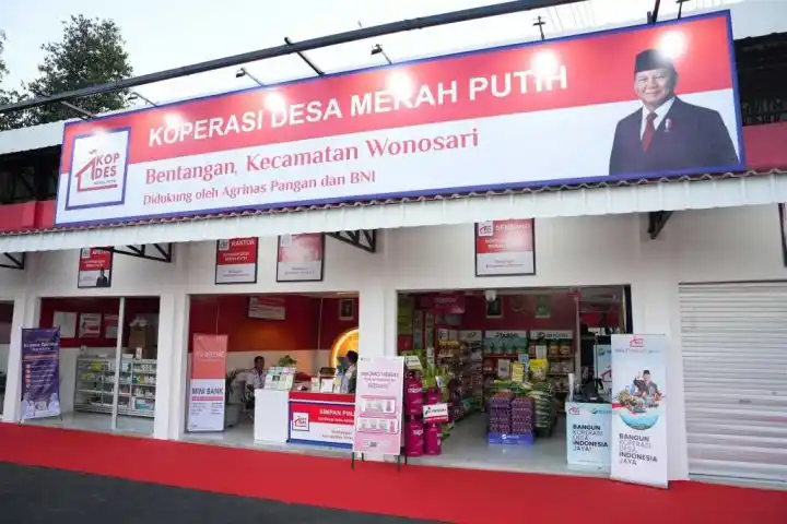 jasa buat npwp koperasi