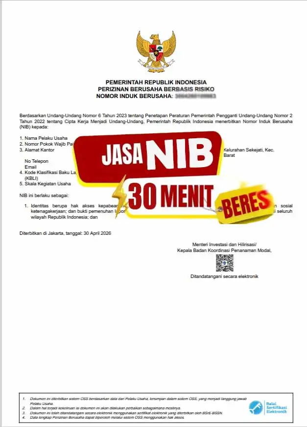 Contoh NIB Perorangan